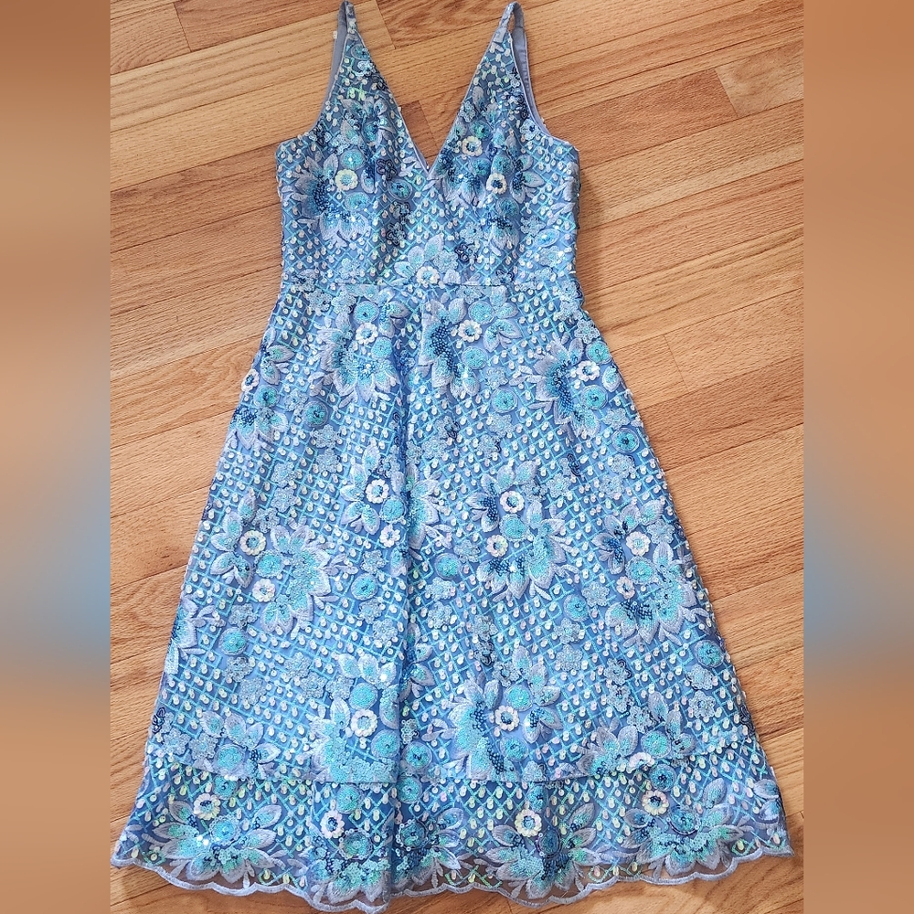 Stunning Beaded Dress NWT!